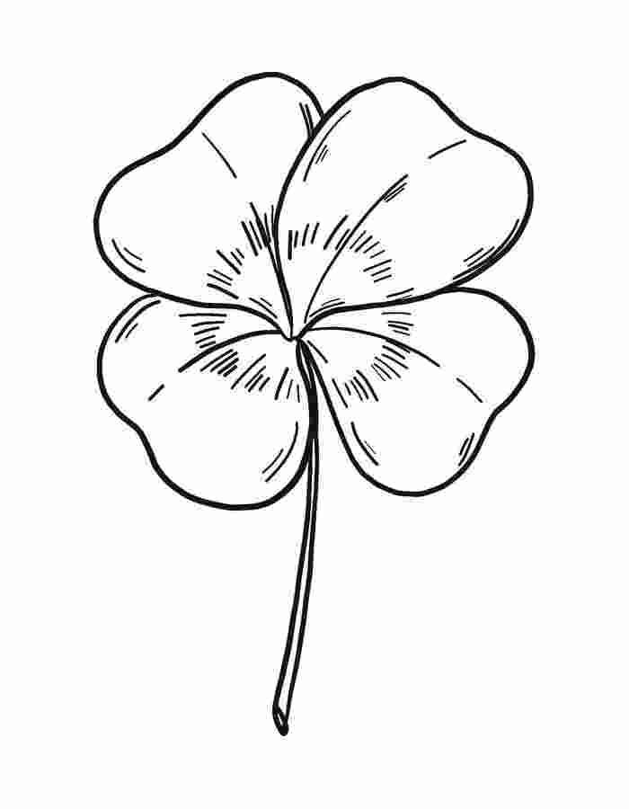 4 Leaf Clover Drawing Coloring Page