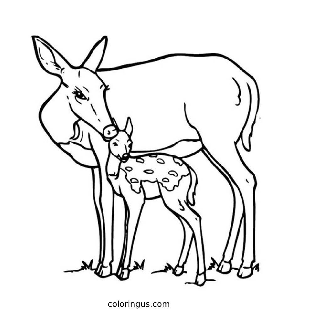 Baby Dear With Mom Coloring Page