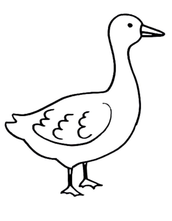 Goose  coloring page