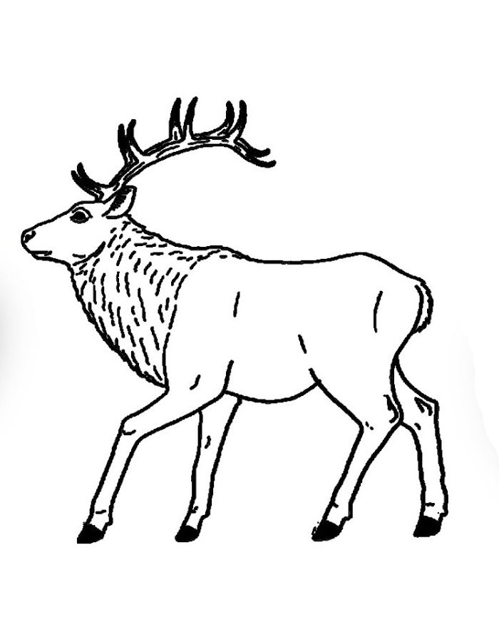 Irish Elk Coloring Page