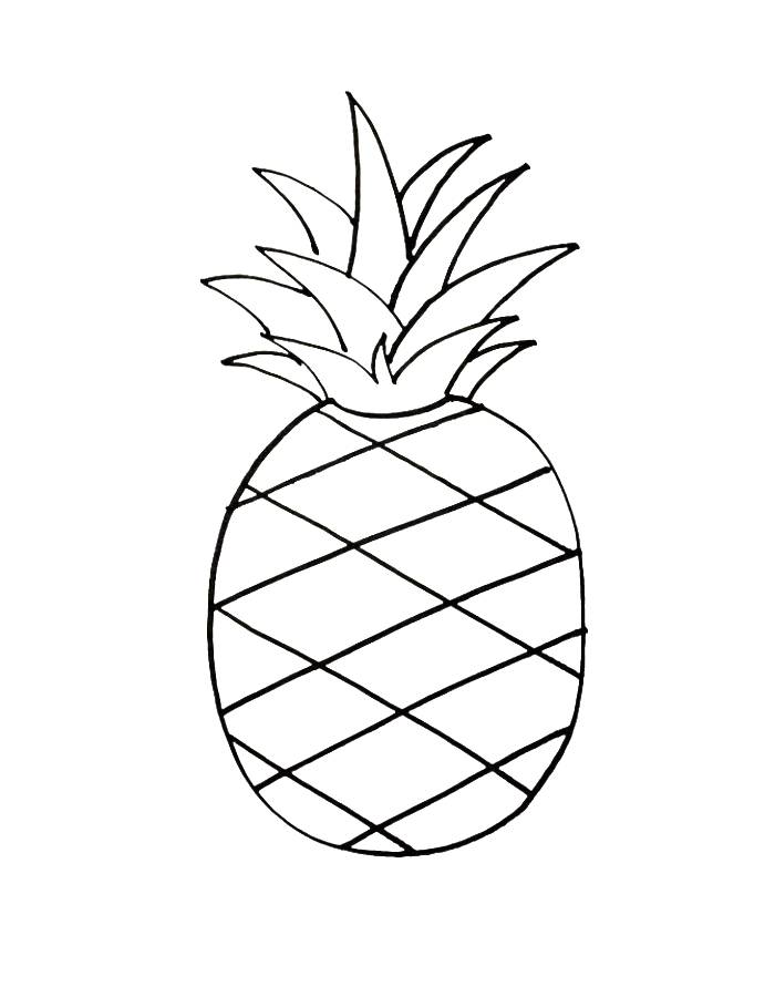 A Pineapple Pineapple Drawing Easy Coloring Page