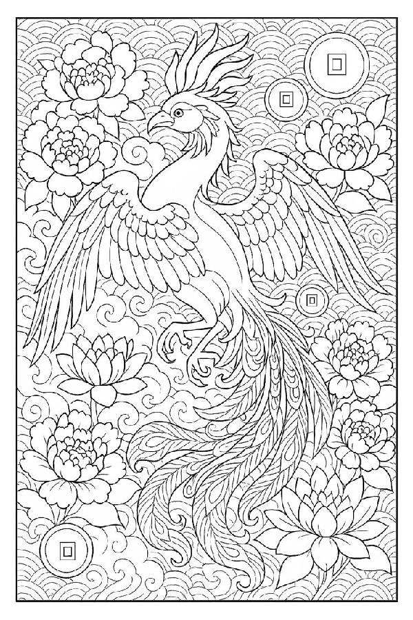 Advanced Phoenix Bird Floral Coloring Page