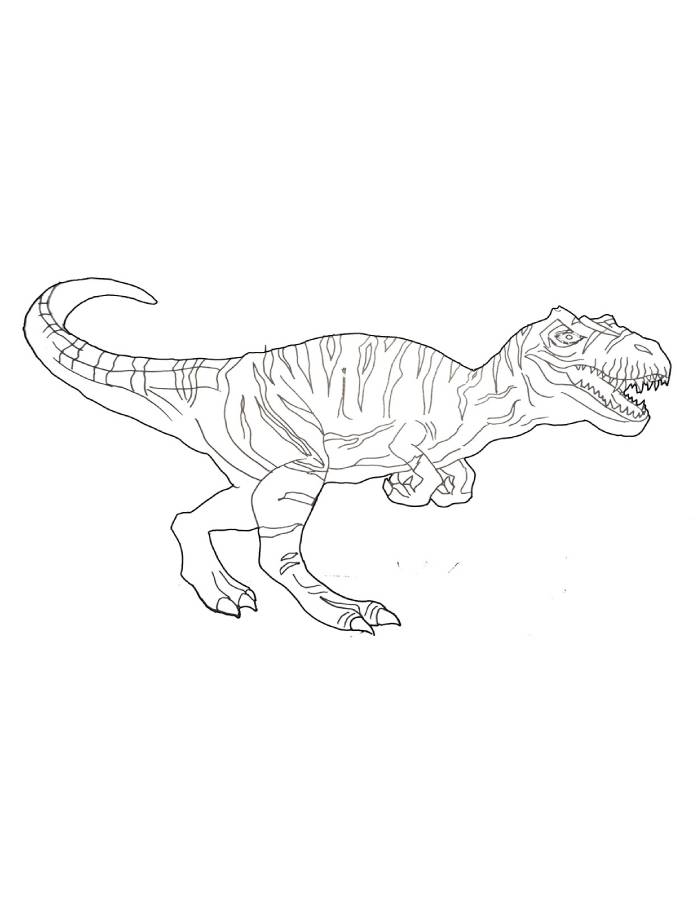 Allosaurus Drawing Dinosaur Easy Coloring Page