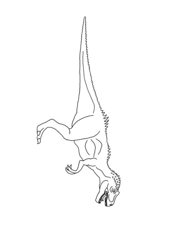 Allosaurus Simple Art Coloring Page
