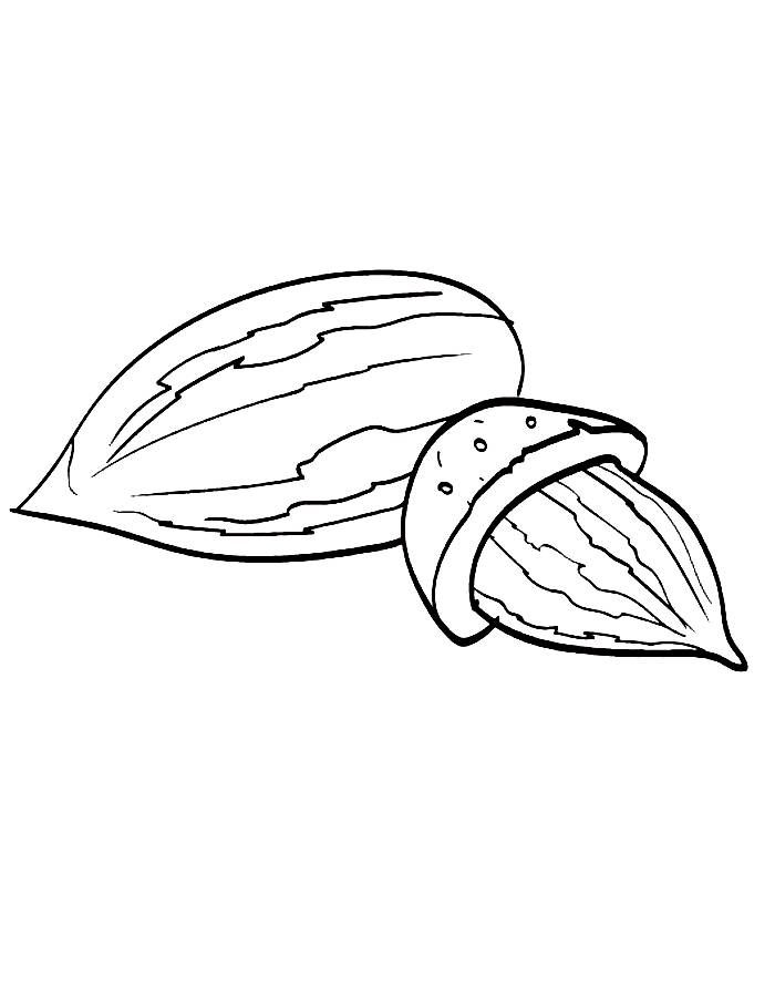 Almond  coloring page