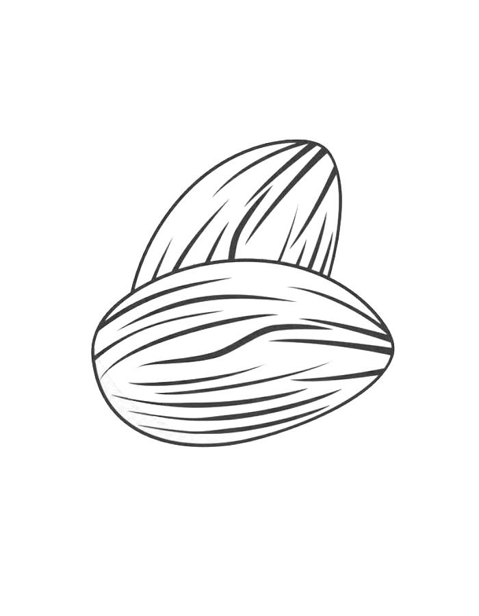 Almond Outline Pdf