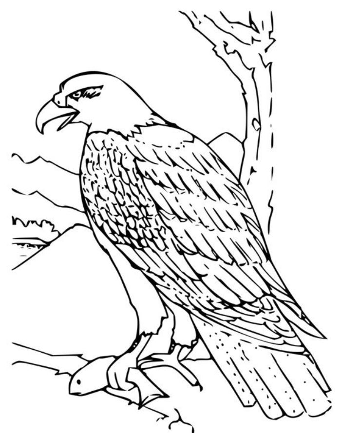 American Eagle Coloring Page