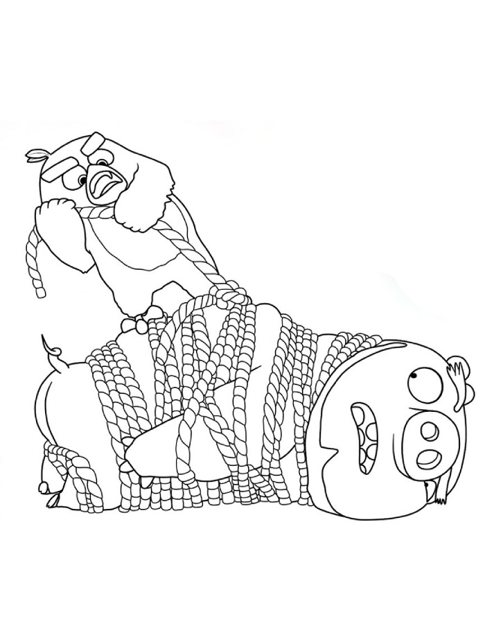 Angry Birds Red сatch Leonard