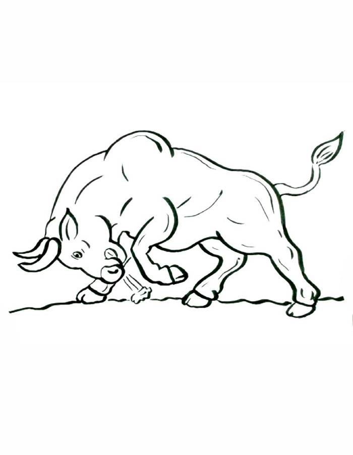Angry Bull Easy Angry Bull Easy Coloring Page