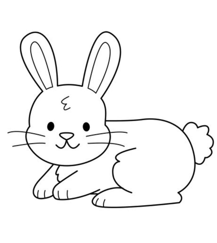 Animal For Preschoolers Coloring Page