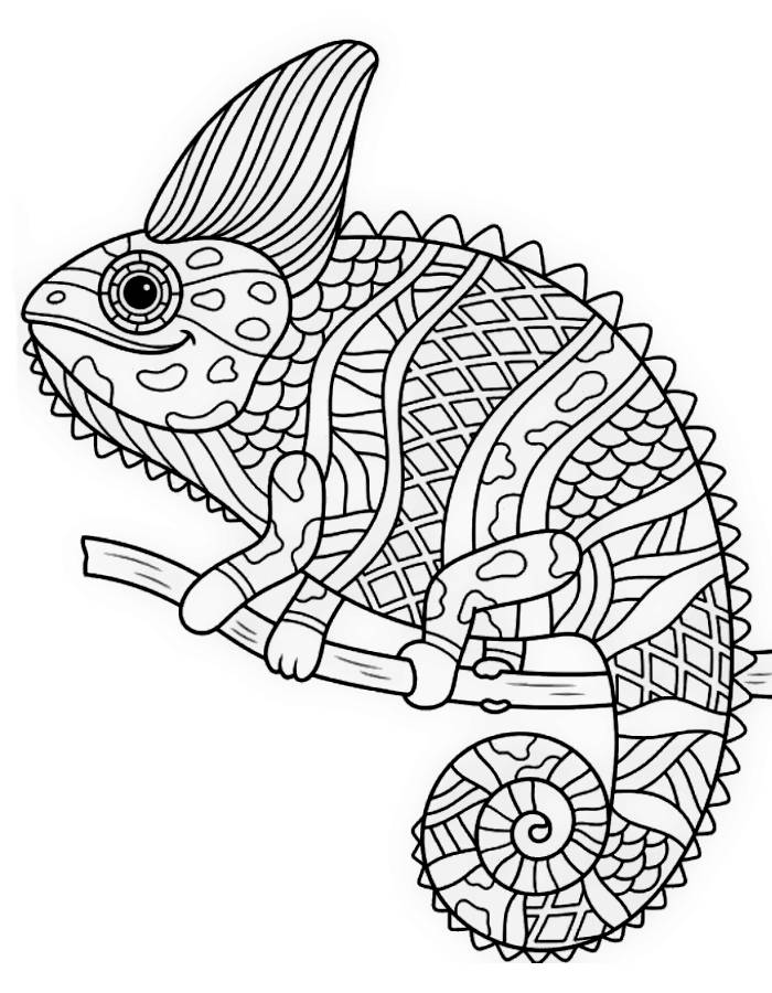 Coloring Pages Free Printable PDF 