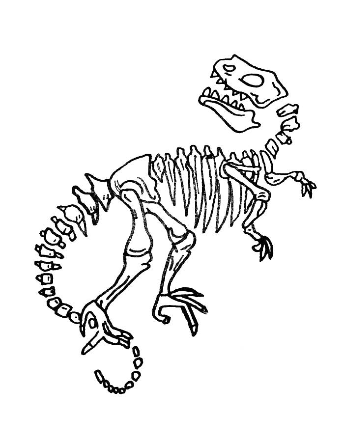 Animal Skeleton Coloring Page