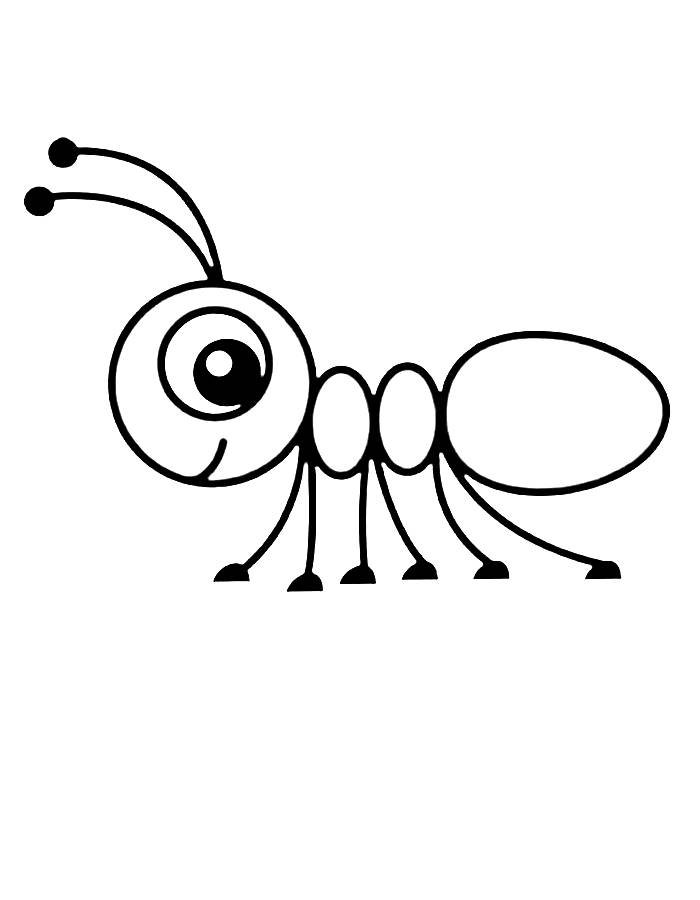 Ants clipart