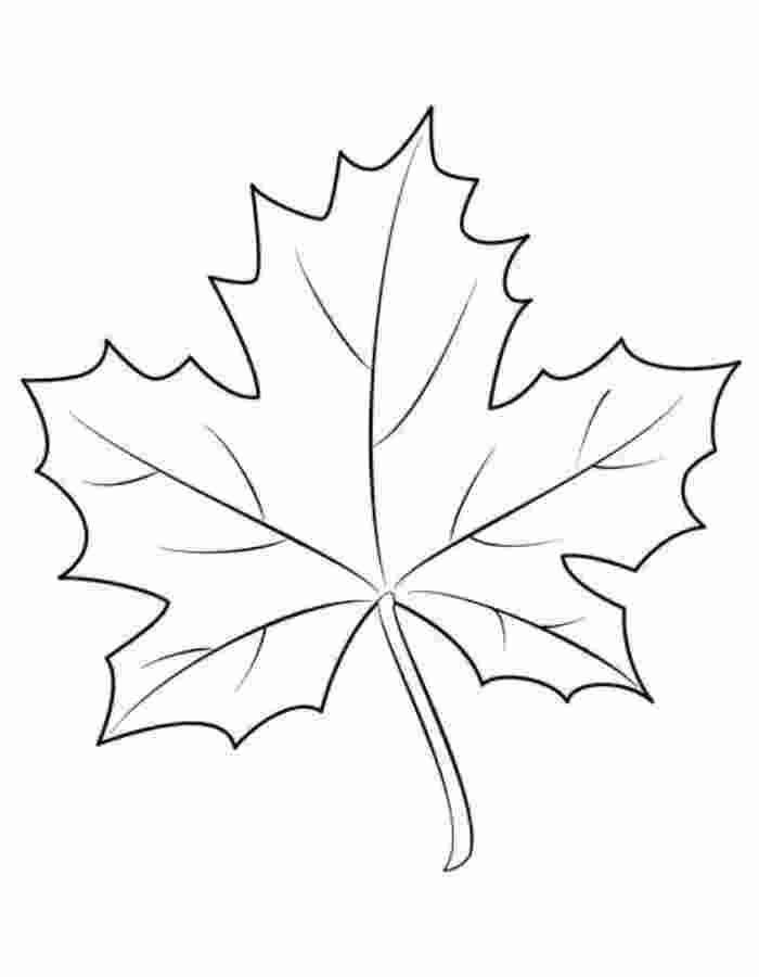 Autumn Leaves  coloring page