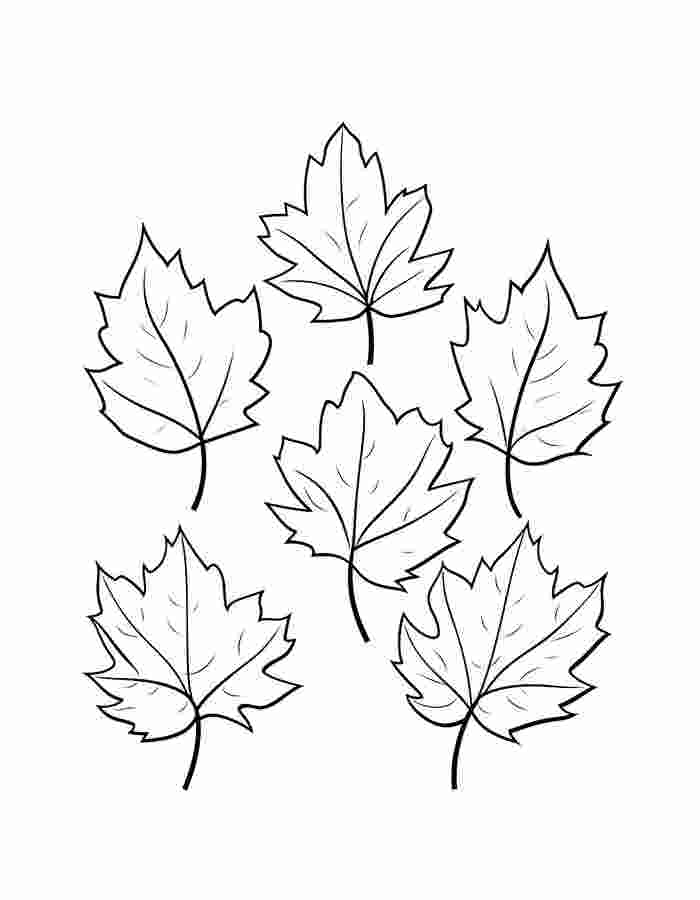 Autumn Leaves Pictures Coloring Page