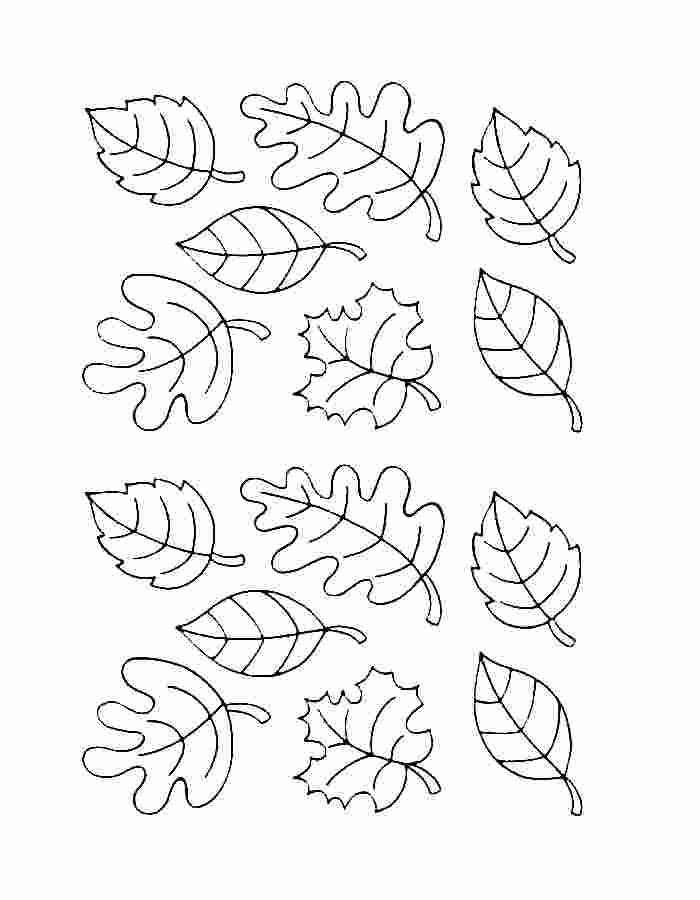 Autumn Leaves Printable Coloring Page