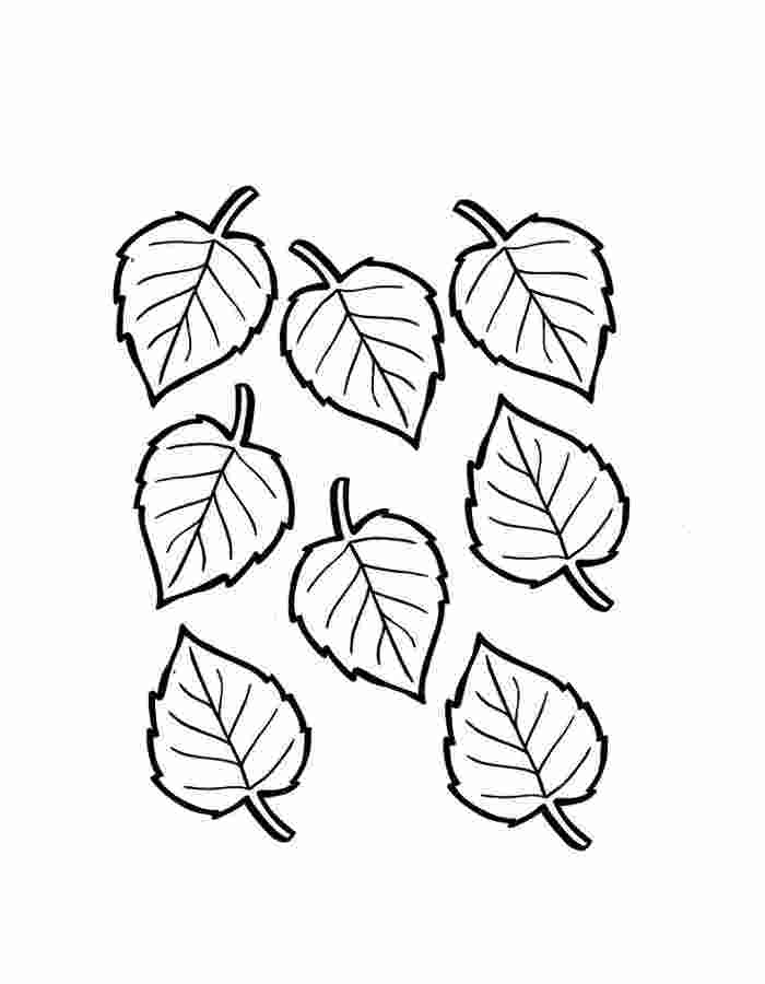 Autumn Leaves Sheets Coloring Page