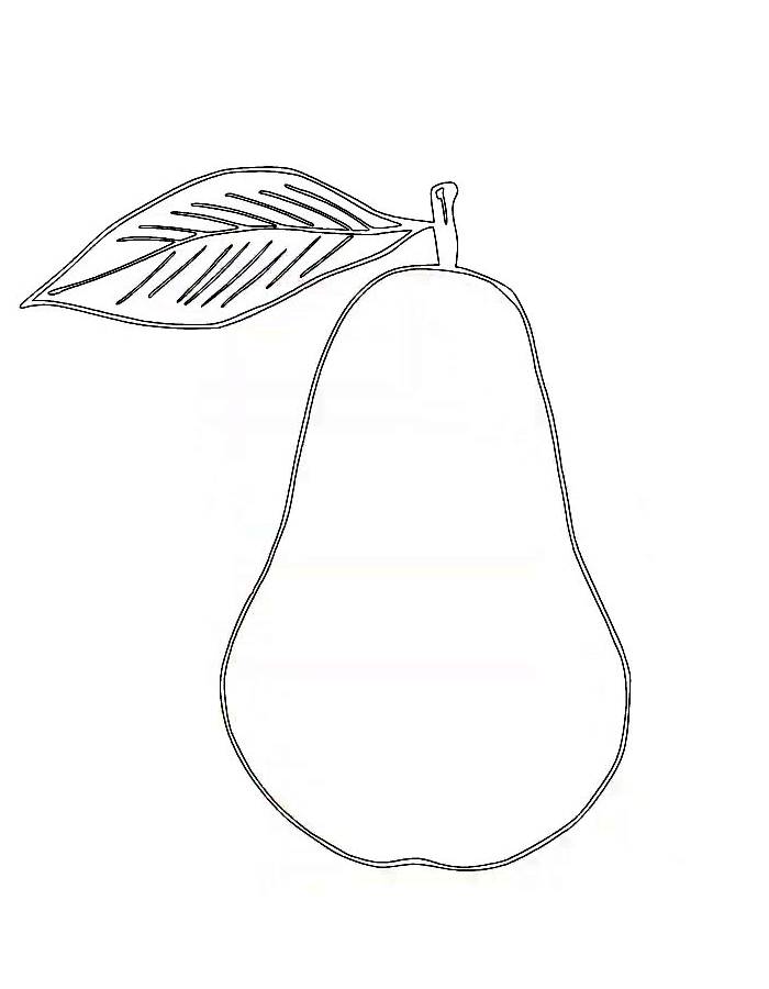 Avocado For Beginners