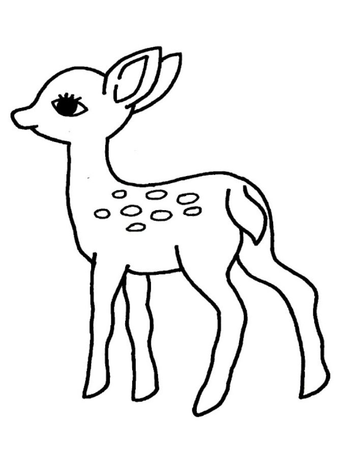 Baby Deer Coloring Page