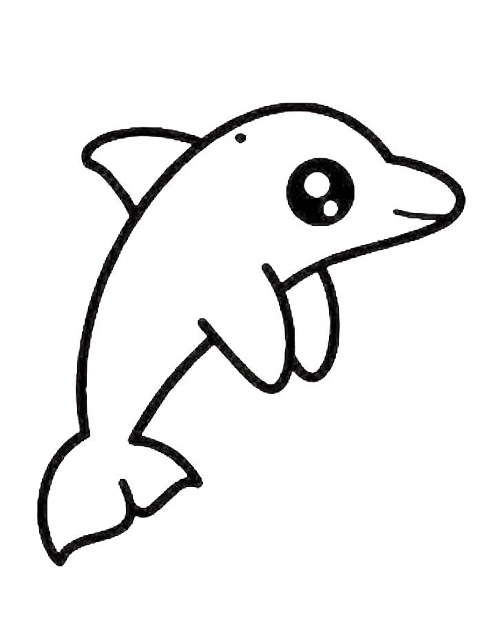 Baby Dolphin Coloring Page