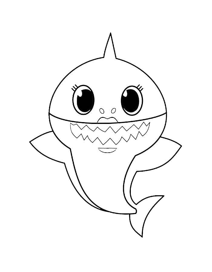 Baby Shark Outline Pdf