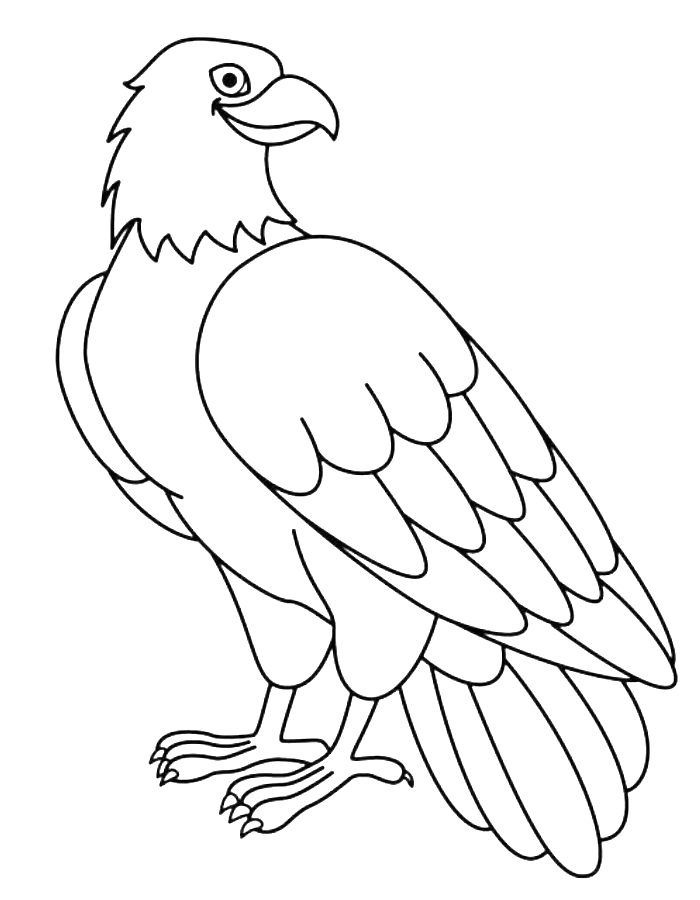 Bald Eagle Picture Coloring Page