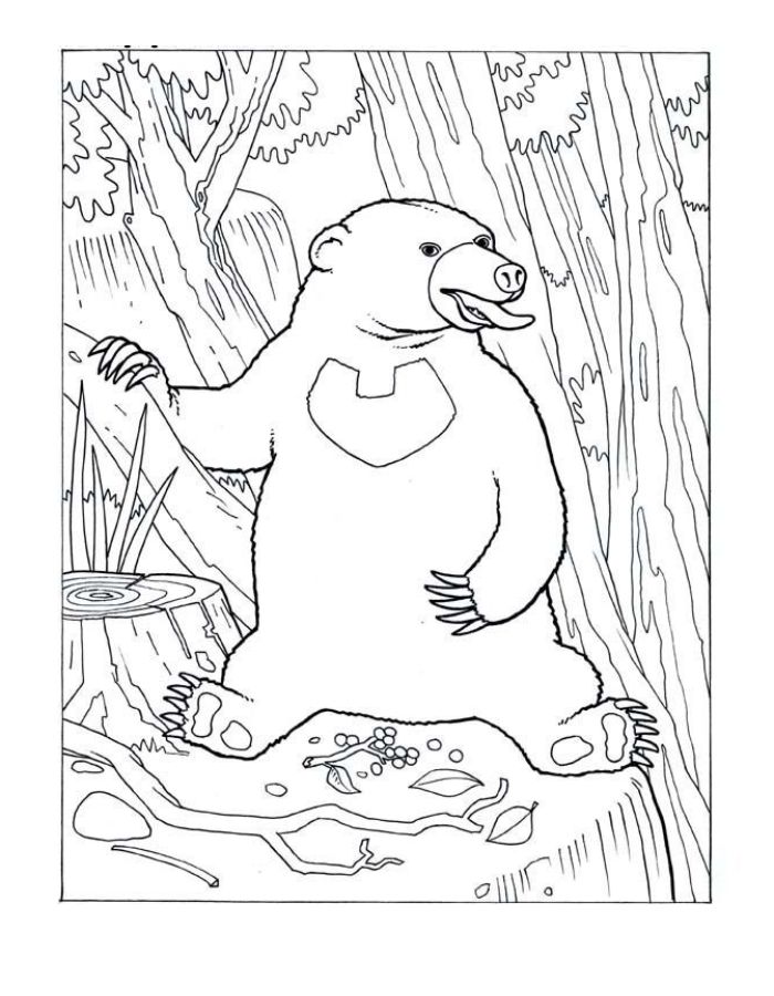 Baloo Jungle Book Coloring Page