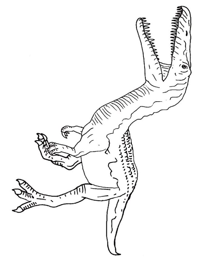 Baryonyx Coloring Page