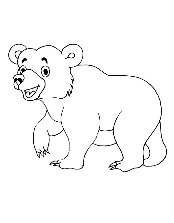 Bear Outline Drawing