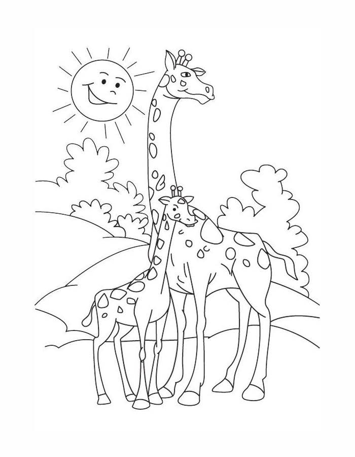 Beautiful Giraffe Funny Animal Coloring Page