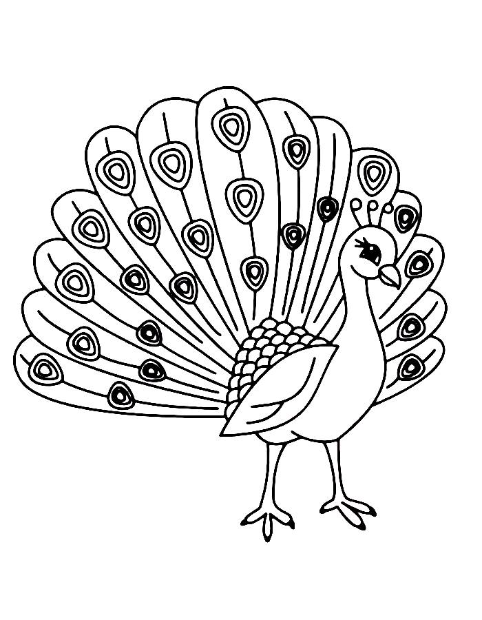 Beautiful Peacock Coloring Page