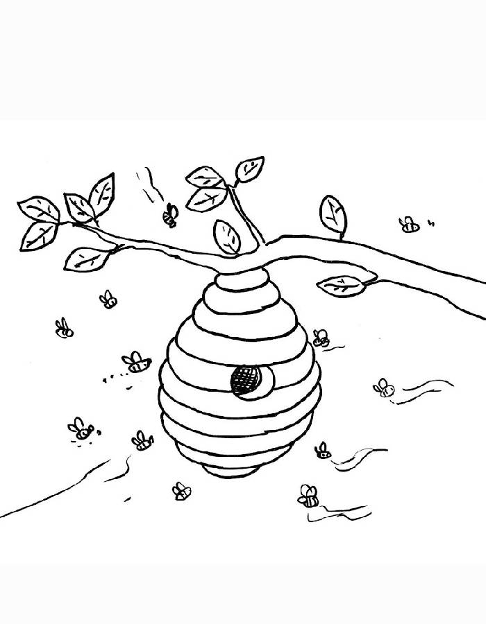 Bees And Beehive