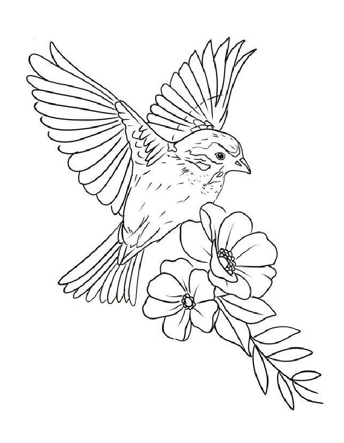 Bird Adult Coloring Page