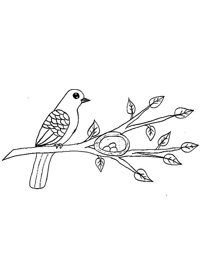 Bird And Nest On Branch Coloring Page