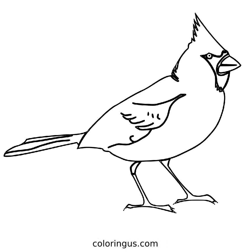 Top Free Printable Bird Coloring Pages PDF Online
