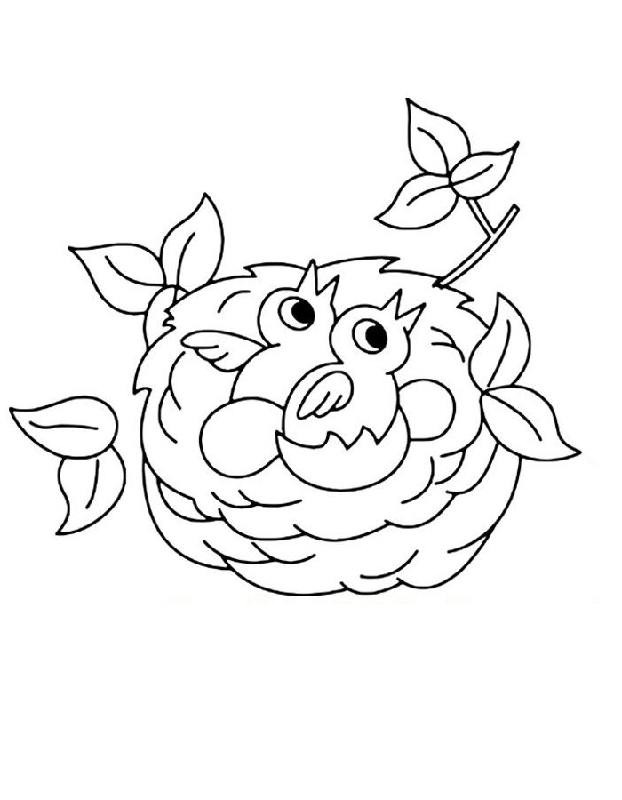 Bird In A Nest Coloring Page