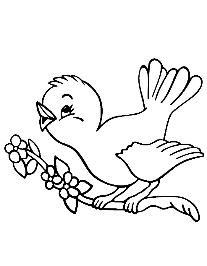 Bird  coloring page