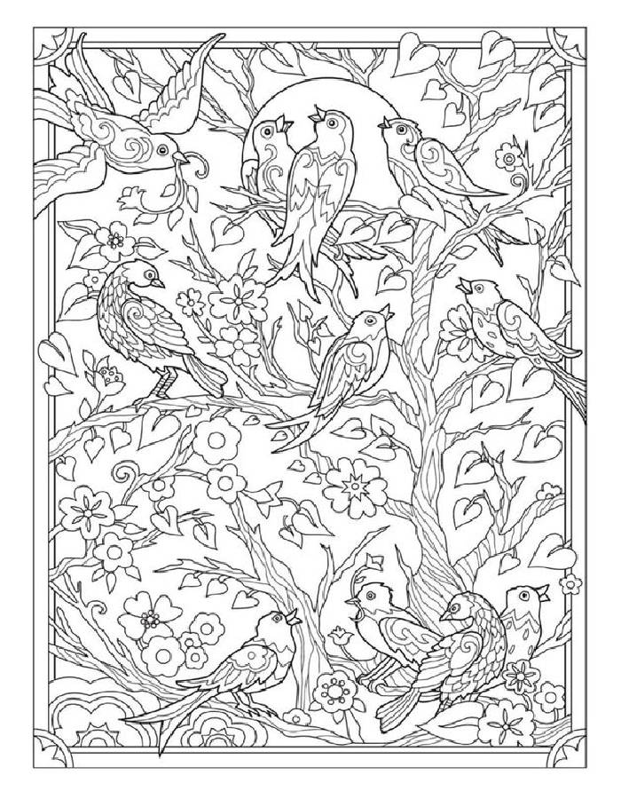 Birds And Blossoms Trippy Coloring Page