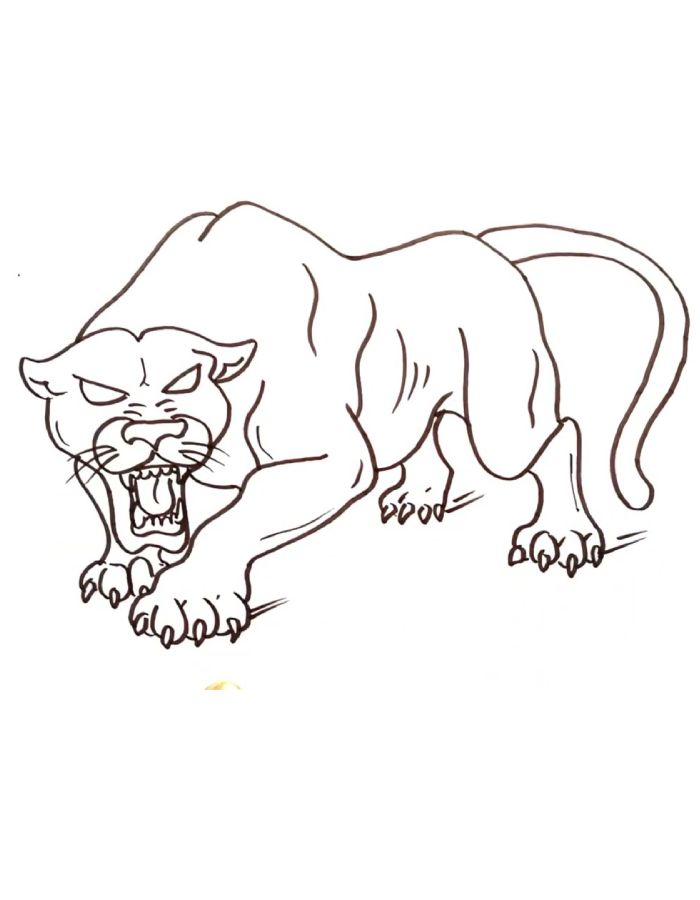 Black Panther Animal Coloring Page