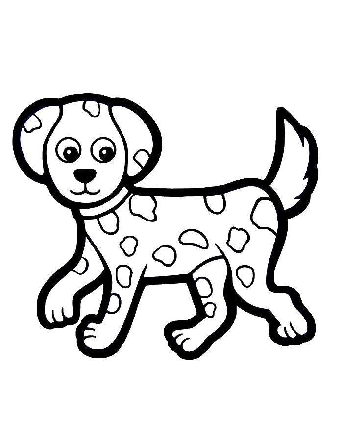 Blank Animal Pictures For Painting Coloring Page