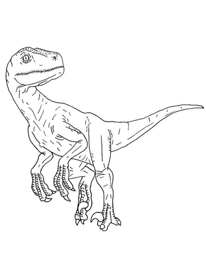 Blue Velociraptor Coloring Page