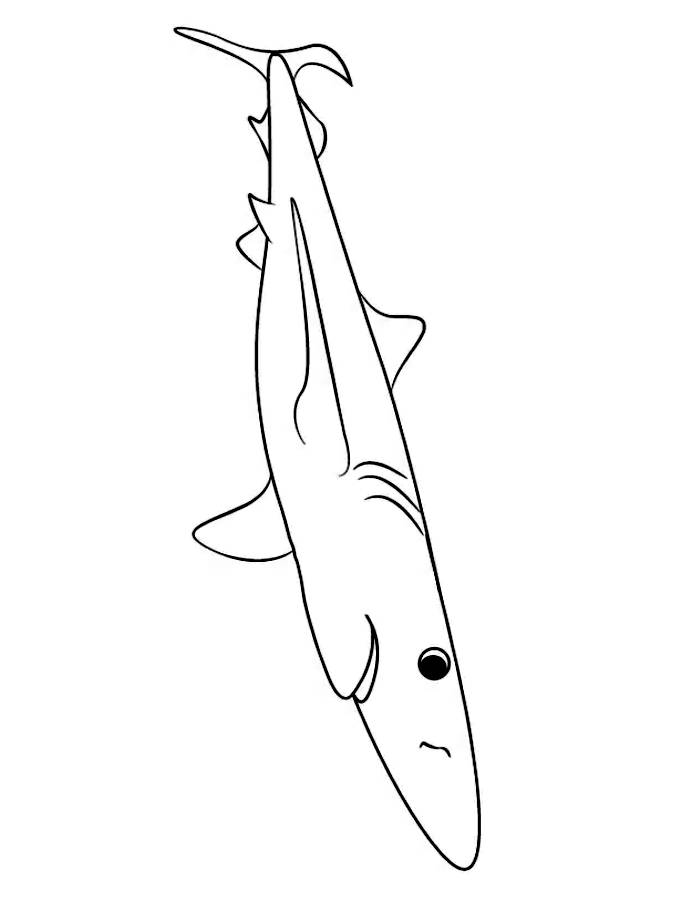 Blue Shark Coloring Page