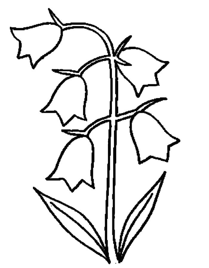 Bluebell Bluebell Coloring Page