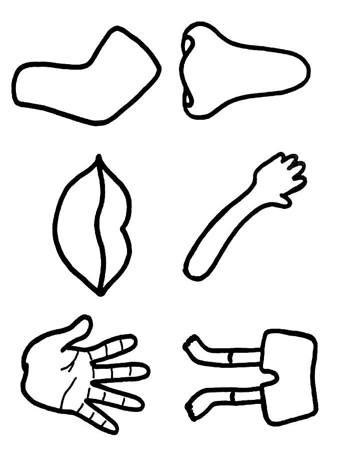 Body Parts Coloring Page