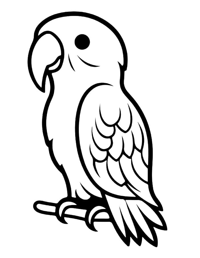 Book Parrot Coloring Page