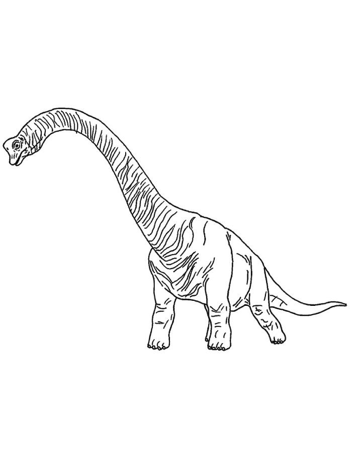 Brachiosaurus  coloring page