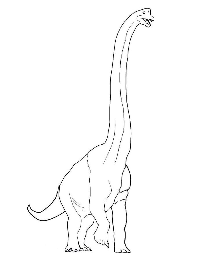 Brachiosaurus Printable Coloring Page