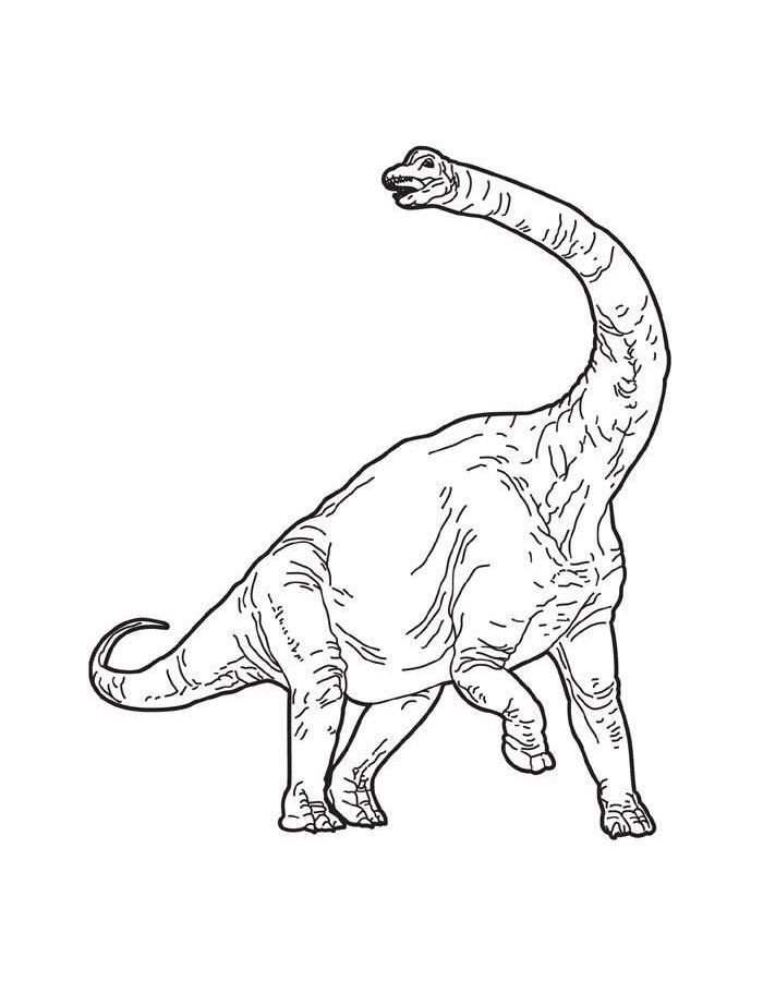 Brachiosaurus Sheet Coloring Page