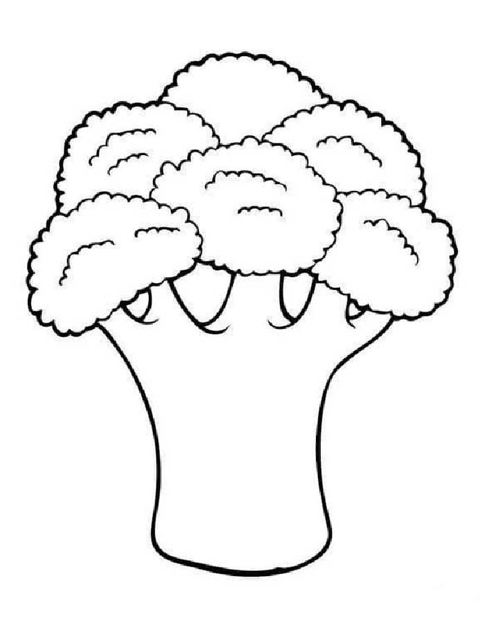Broccoli art and craft coloring page