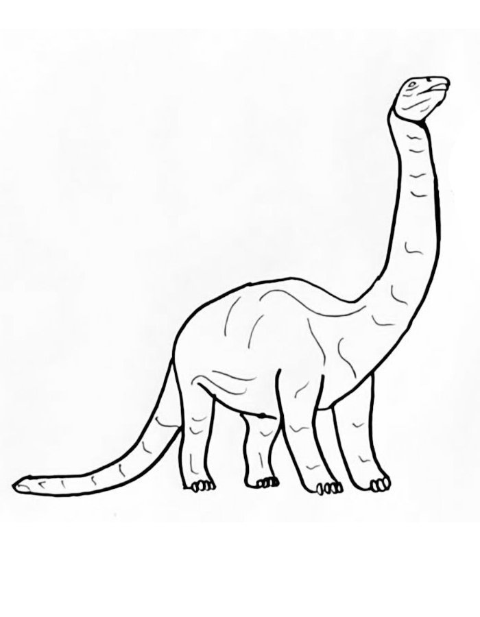 Brontosaurus Coloring Page